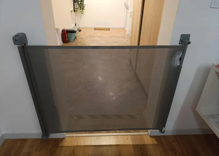 33 דירה סקאווינה